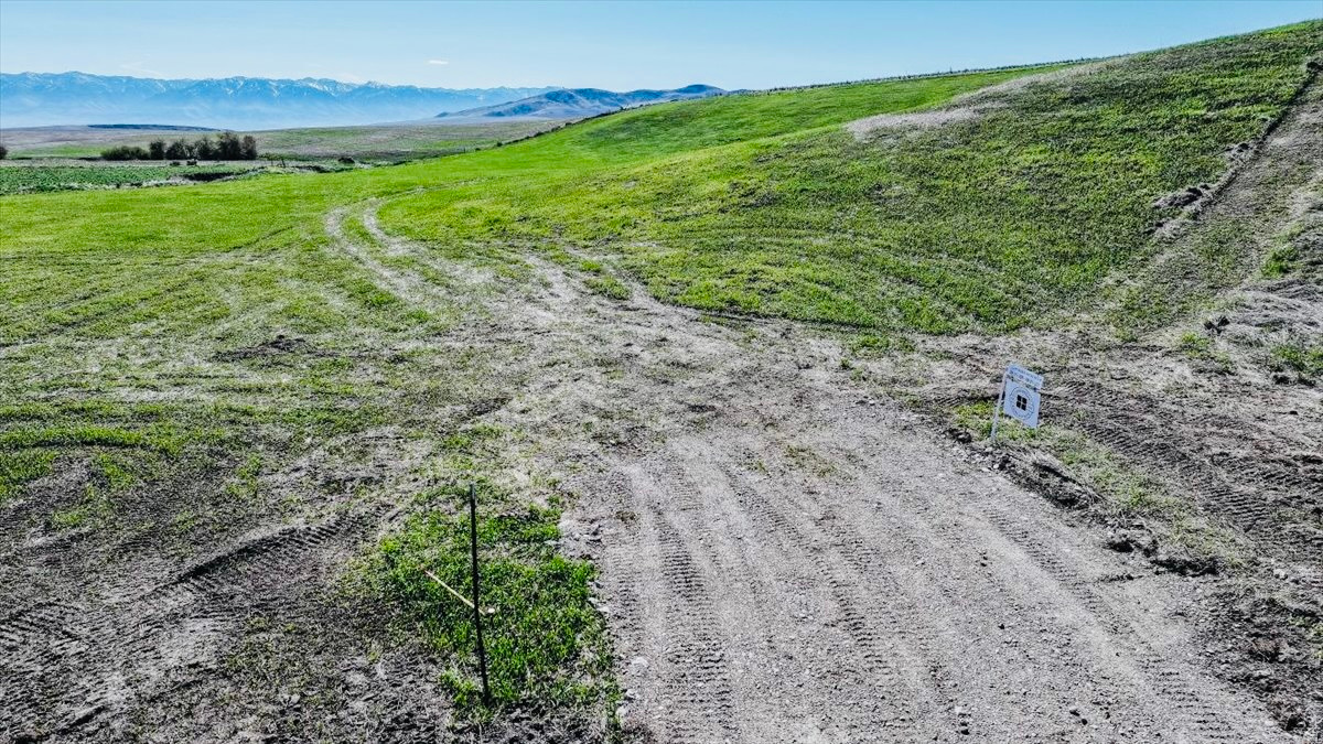 SCHVANEVELDT MINOR - Land