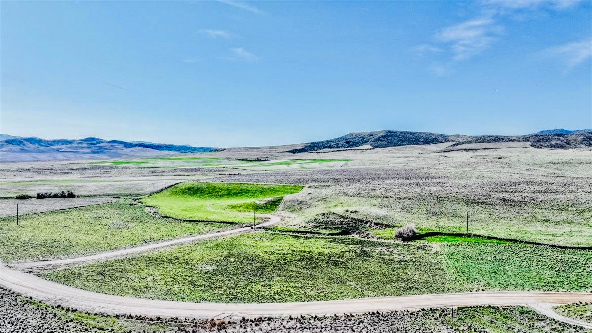 SCHVANEVELDT MINOR - Land