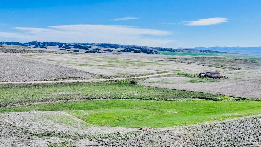 SCHVANEVELDT MINOR - Land