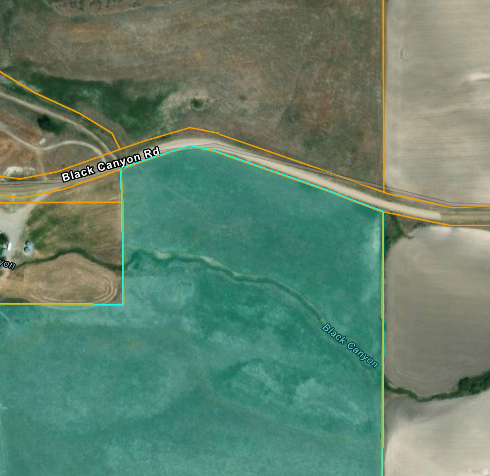 SCHVANEVELDT MINOR - Land