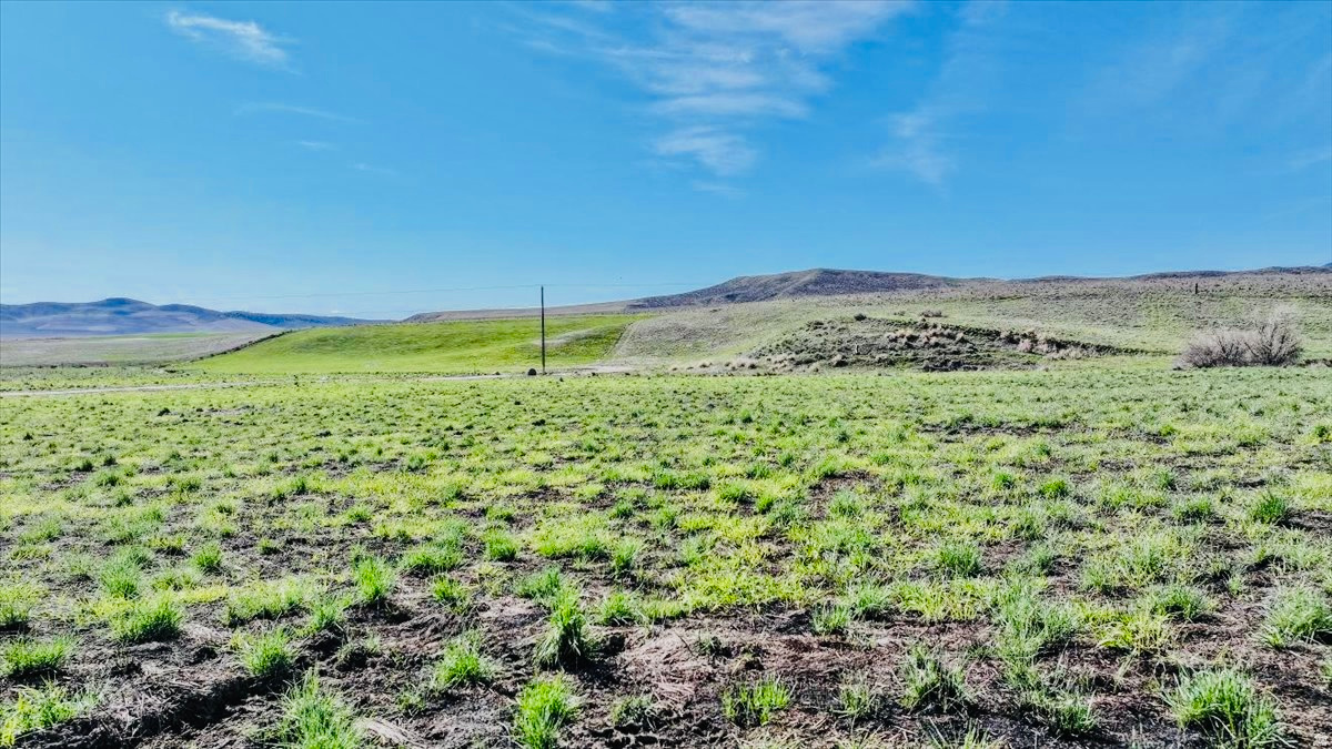 SCHVANEVELDT MINOR - Land