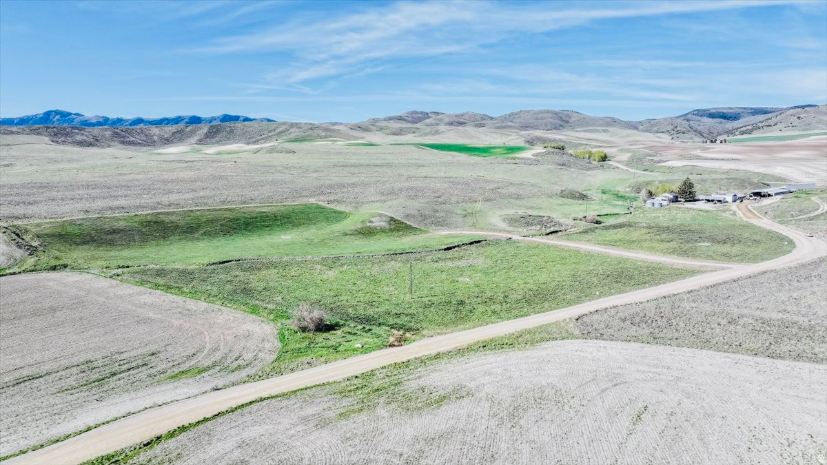 SCHVANEVELDT MINOR - Land