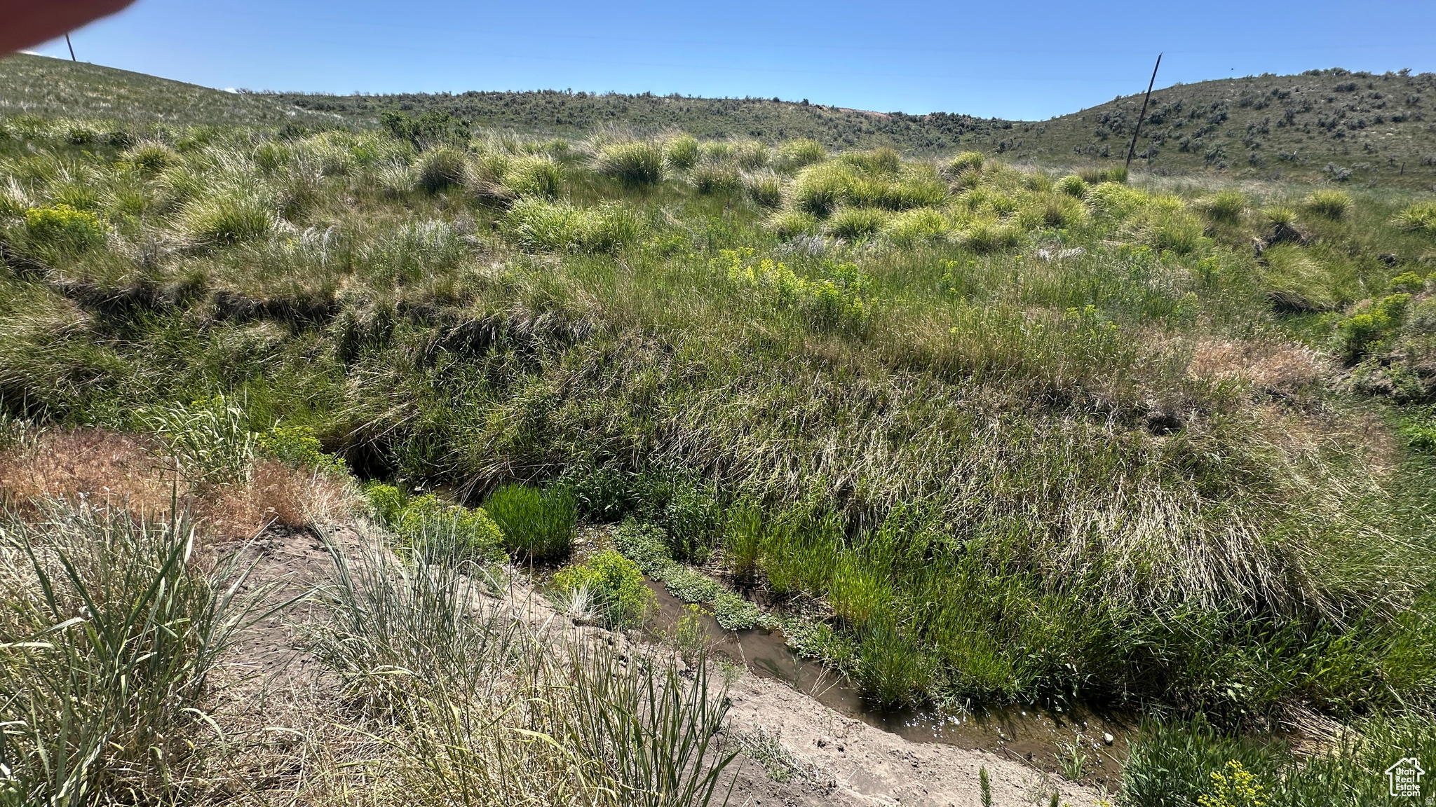 SCHVANEVELDT MINOR - Land