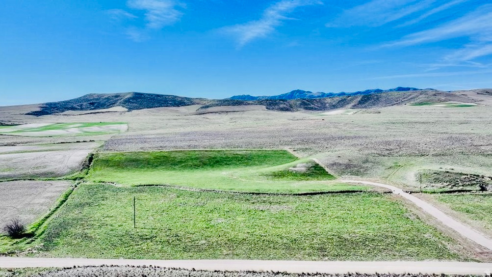 SCHVANEVELDT MINOR - Land