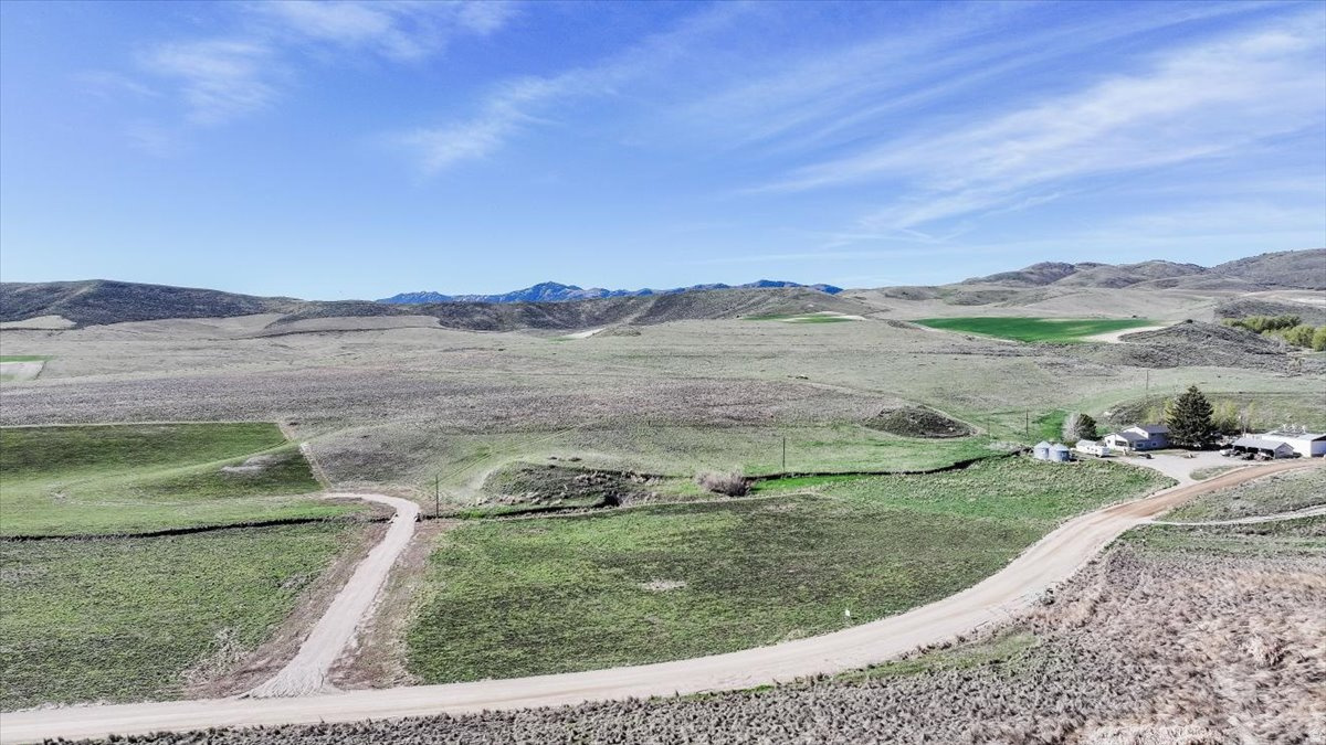 SCHVANEVELDT MINOR - Land