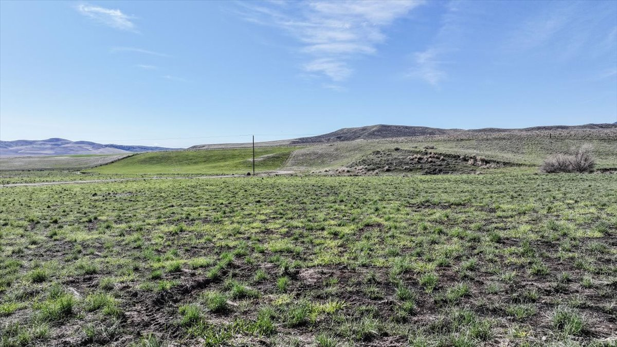 SCHVANEVELDT MINOR - Land