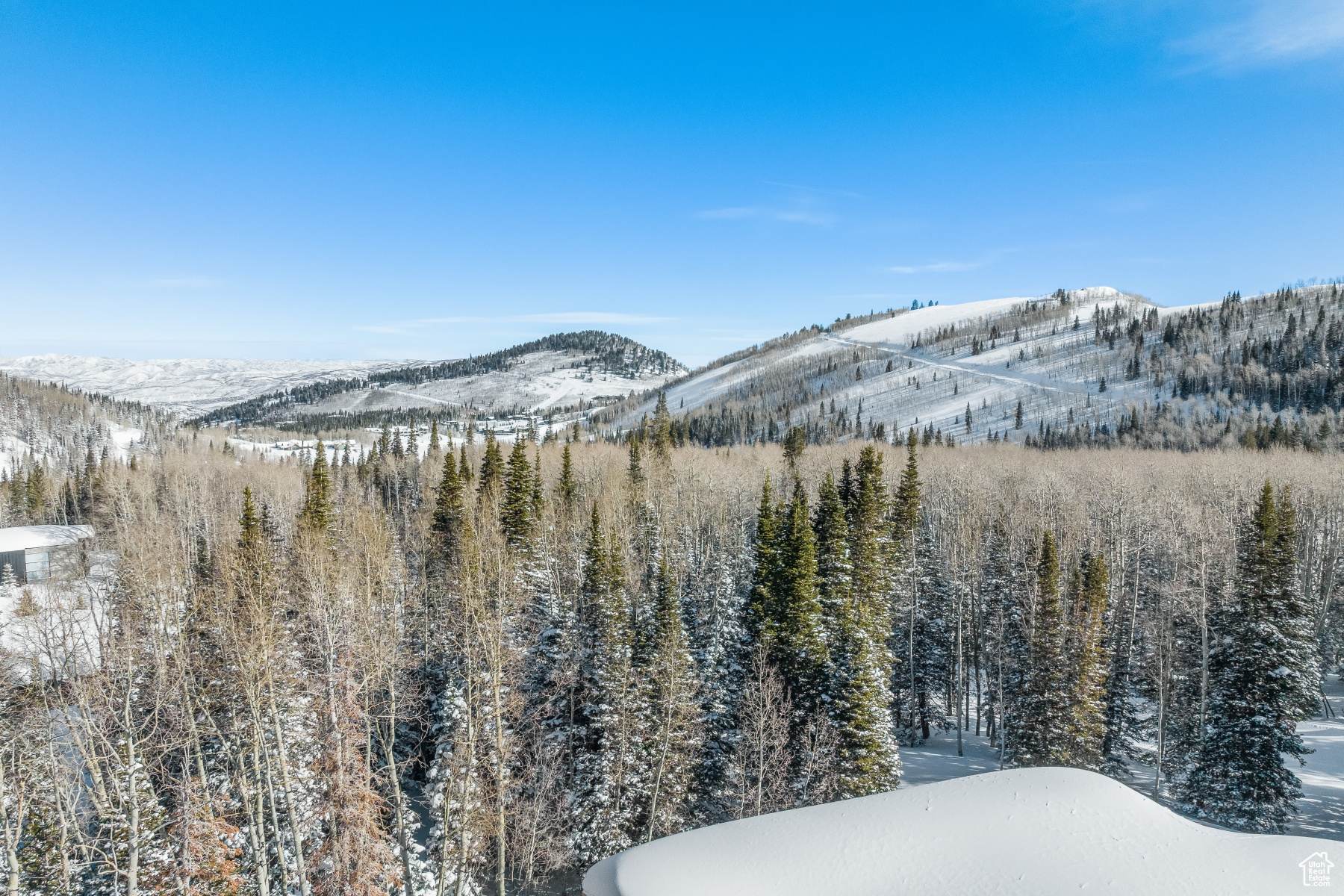 COLONY AT WHITE PINE CANYON - Residential