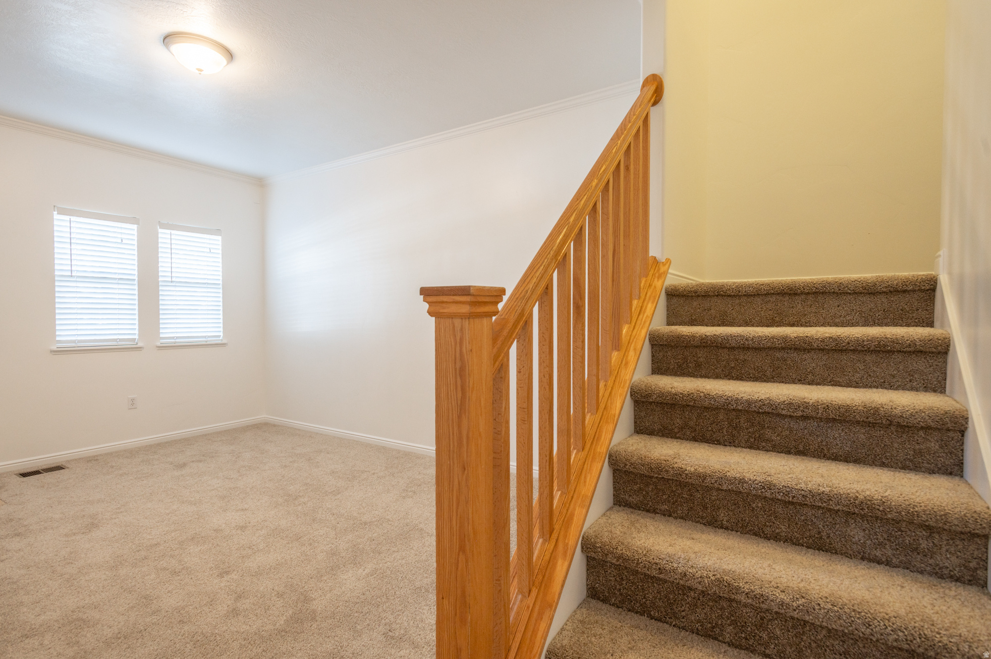 MEADOWS - Residential