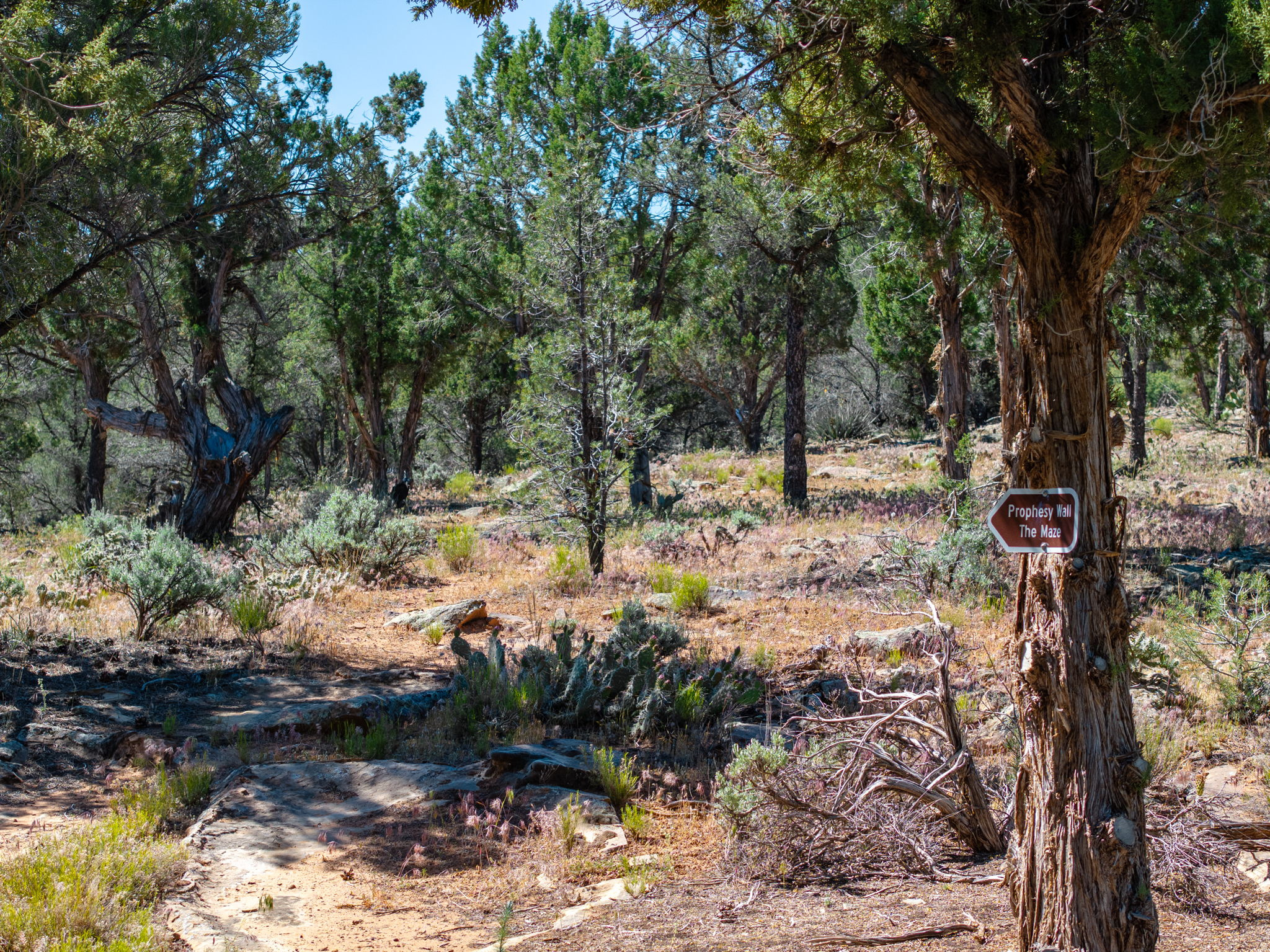 PINION HILLS - Residential