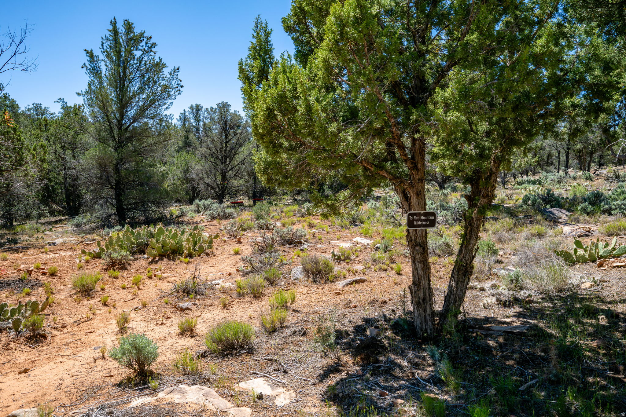 PINION HILLS - Residential