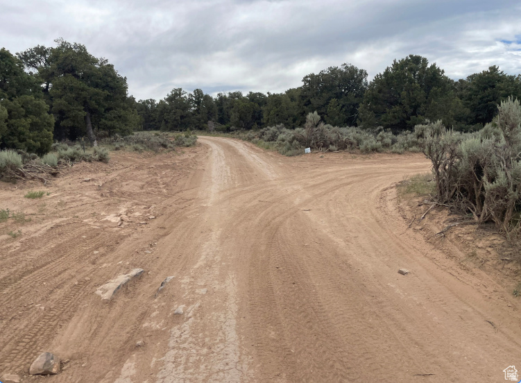 ORANGE MOUNTAIN - Land