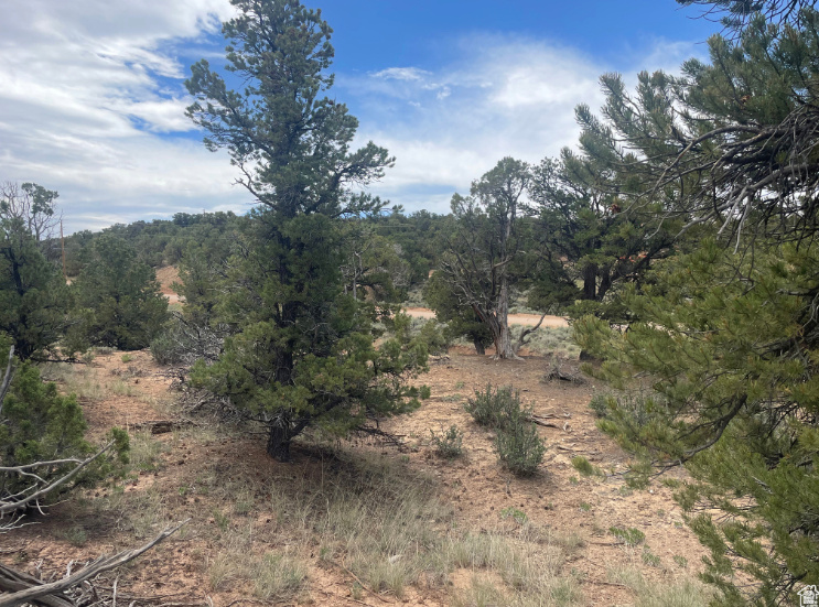 ORANGE MOUNTAIN - Land