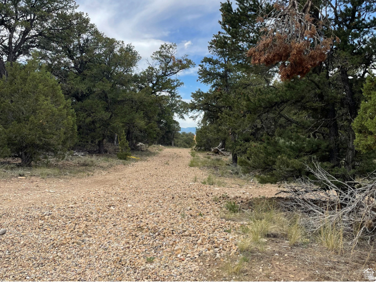 ORANGE MOUNTAIN - Land