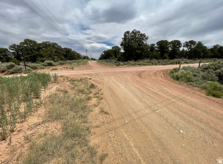 ORANGE MOUNTAIN - Land