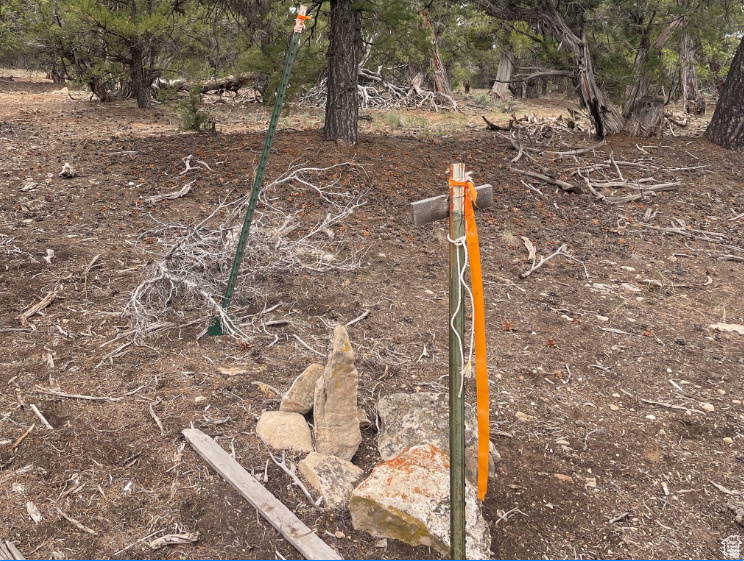 ORANGE MOUNTAIN - Land