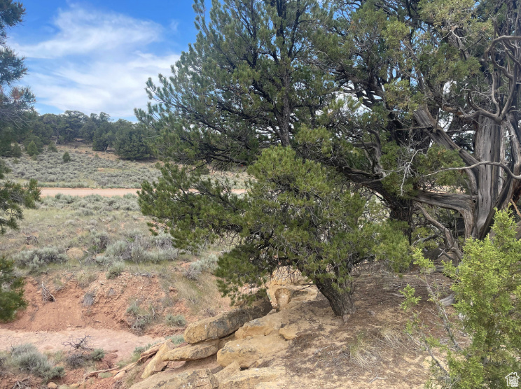 ORANGE MOUNTAIN - Land