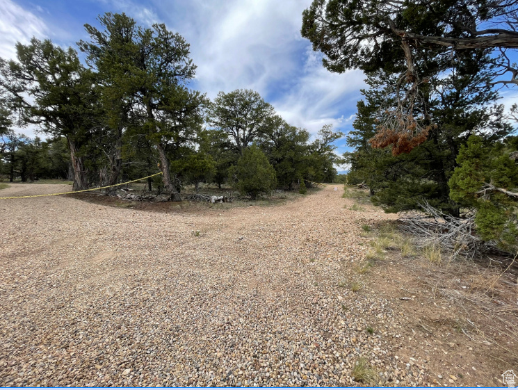 ORANGE MOUNTAIN - Land