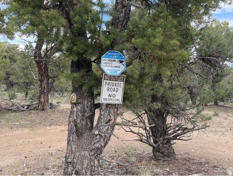 ORANGE MOUNTAIN - Land