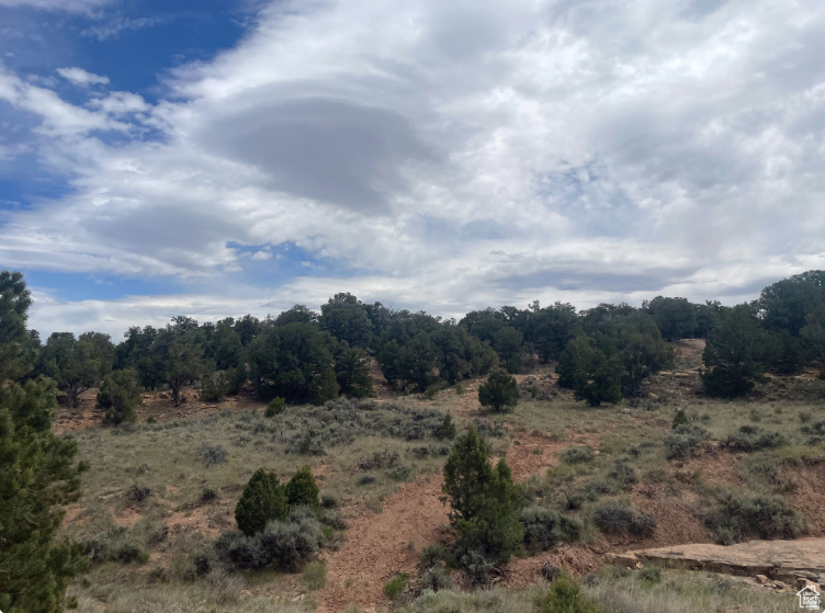 ORANGE MOUNTAIN - Land