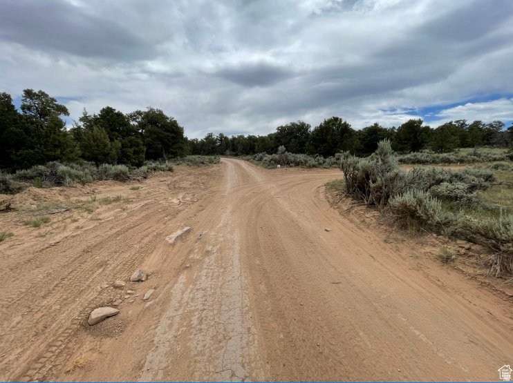 ORANGE MOUNTAIN - Land