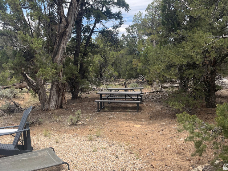 ORANGE MOUNTAIN - Land