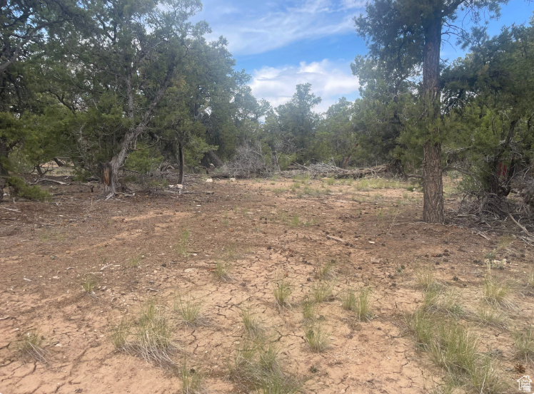 ORANGE MOUNTAIN - Land