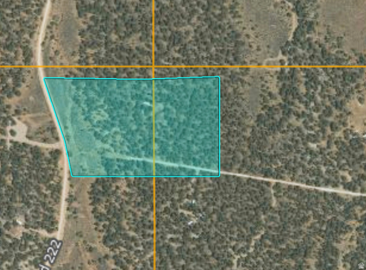 ORANGE MOUNTAIN - Land