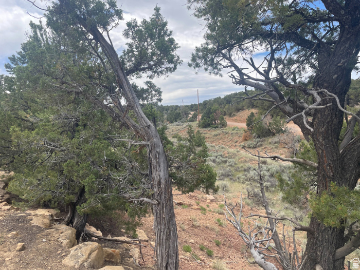 ORANGE MOUNTAIN - Land