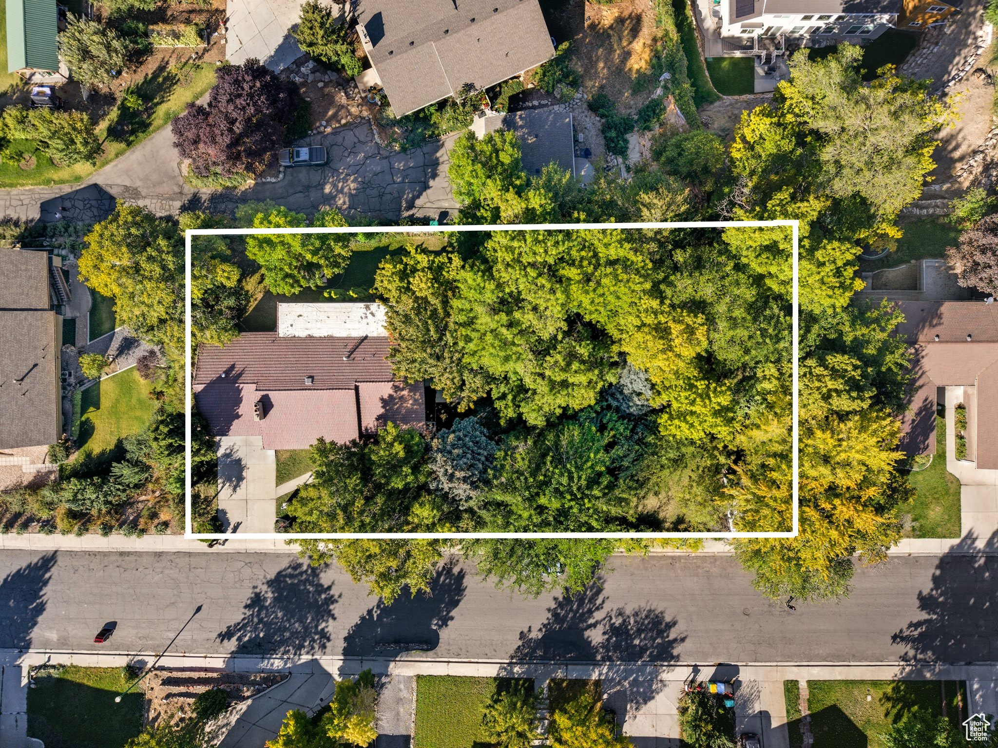 D ANNA B - Residential