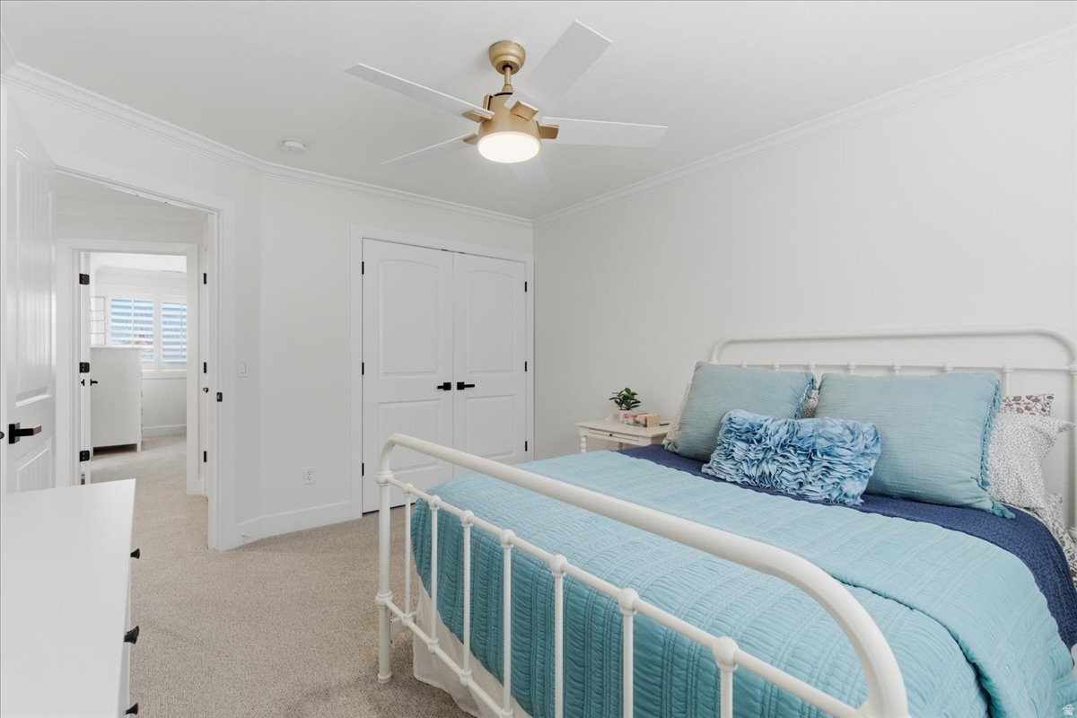 SOMERSET RIDGE - Residential