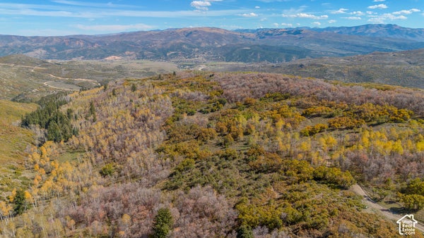 110 W BEAR TOOTH RDG, COALVILLE, UT 84017 - Image 46e237a1d0f211bc6d60eb39a7a7263a/219539167