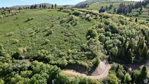 Vacant Land For Sale - 23206 N 14136 #131<br/> Sanpete County, Fairview, UT 84629