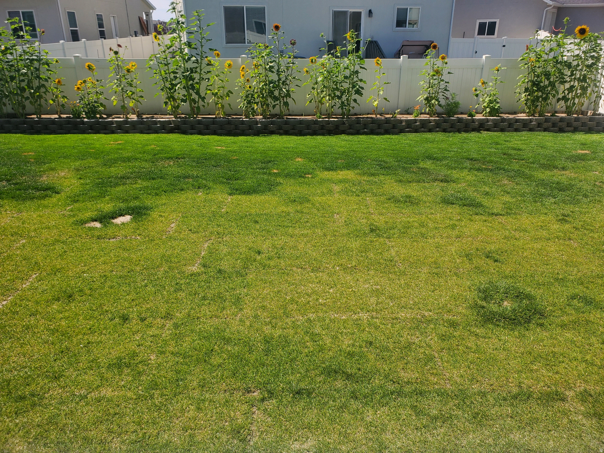 HARMONY PHASE A PLAT 8 - Residential