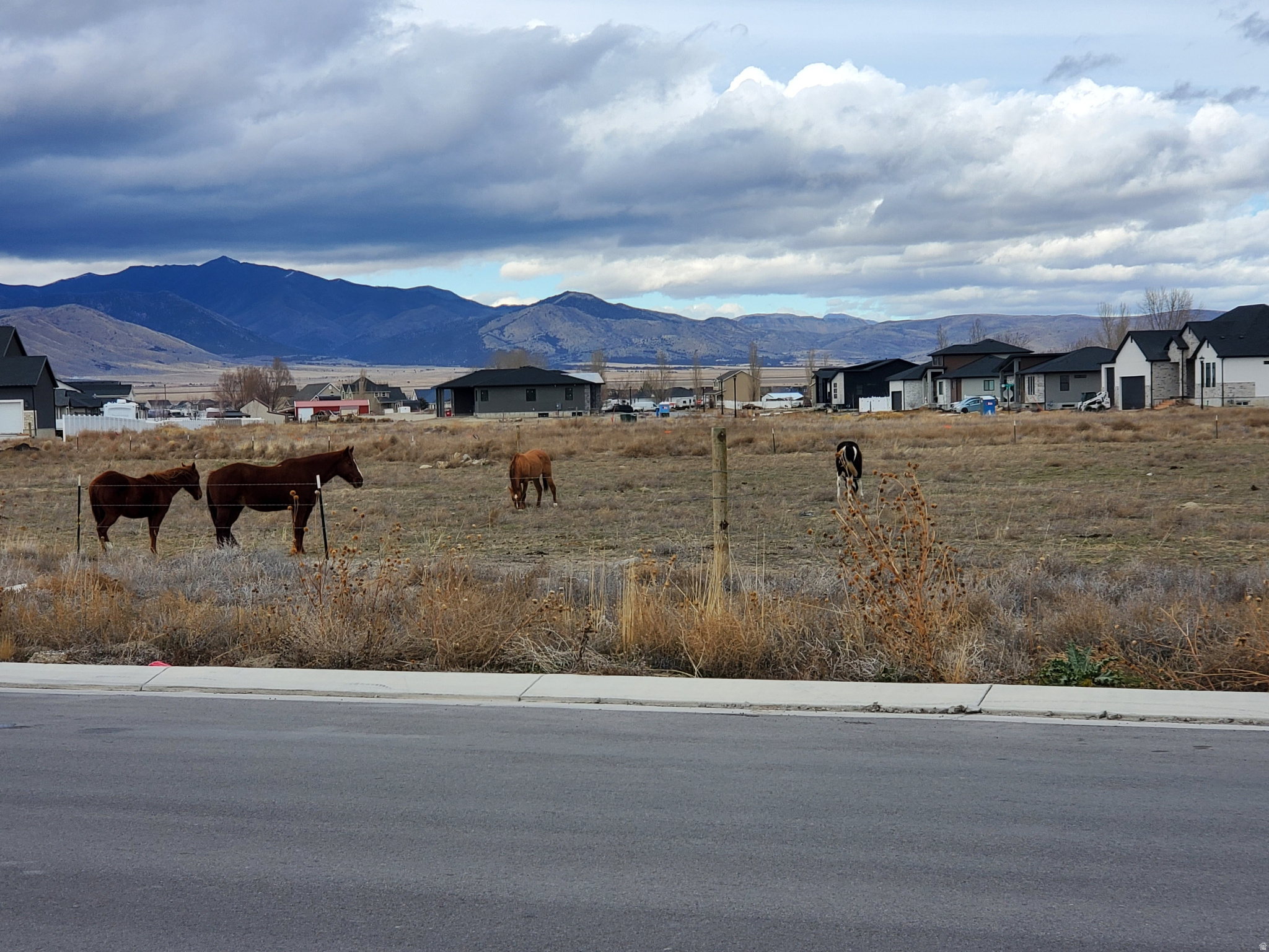 HARMONY PHASE A PLAT 8 - Residential