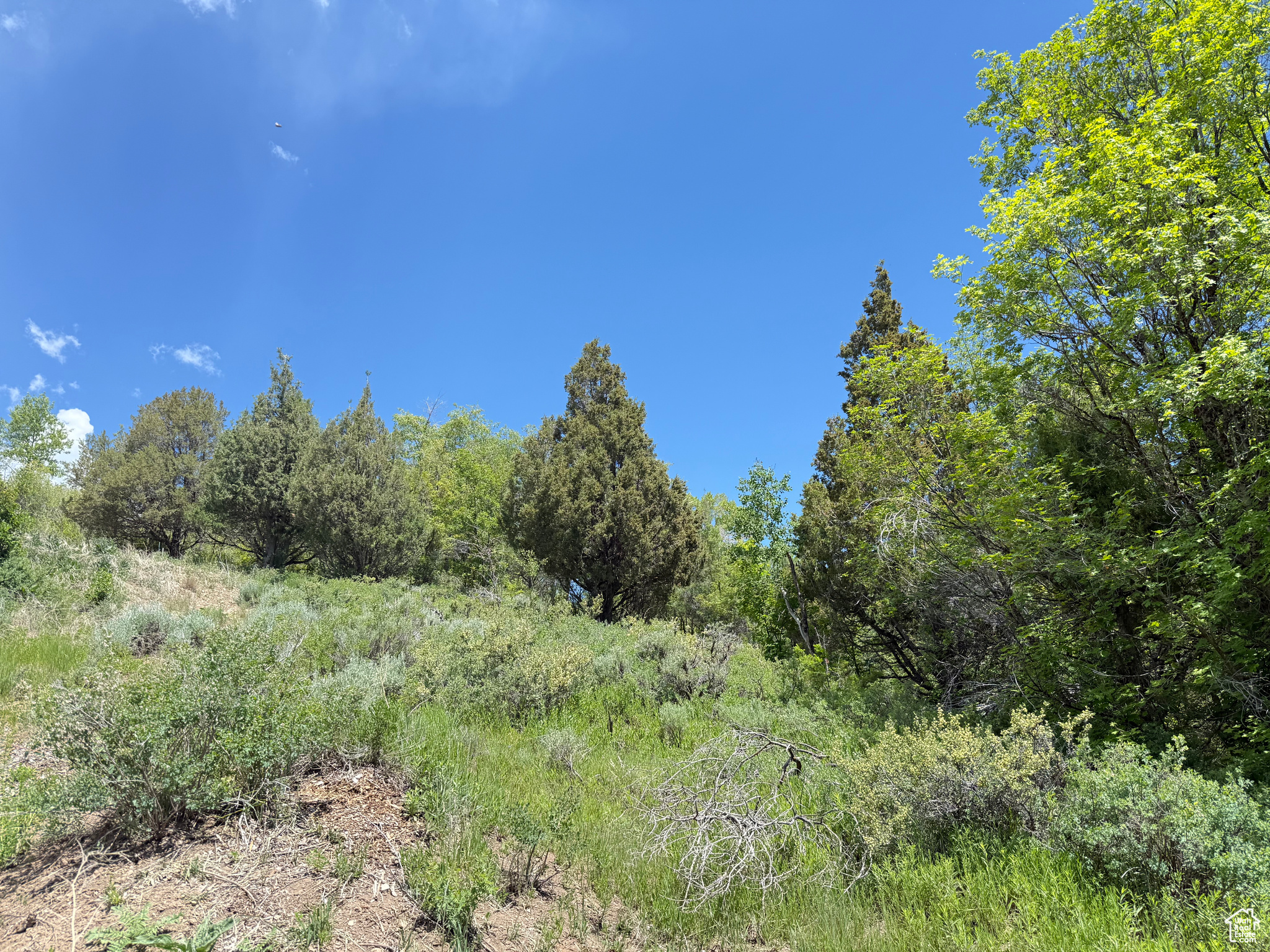 1361 Swan Creek Rd #5, Garden City, Utah image 3