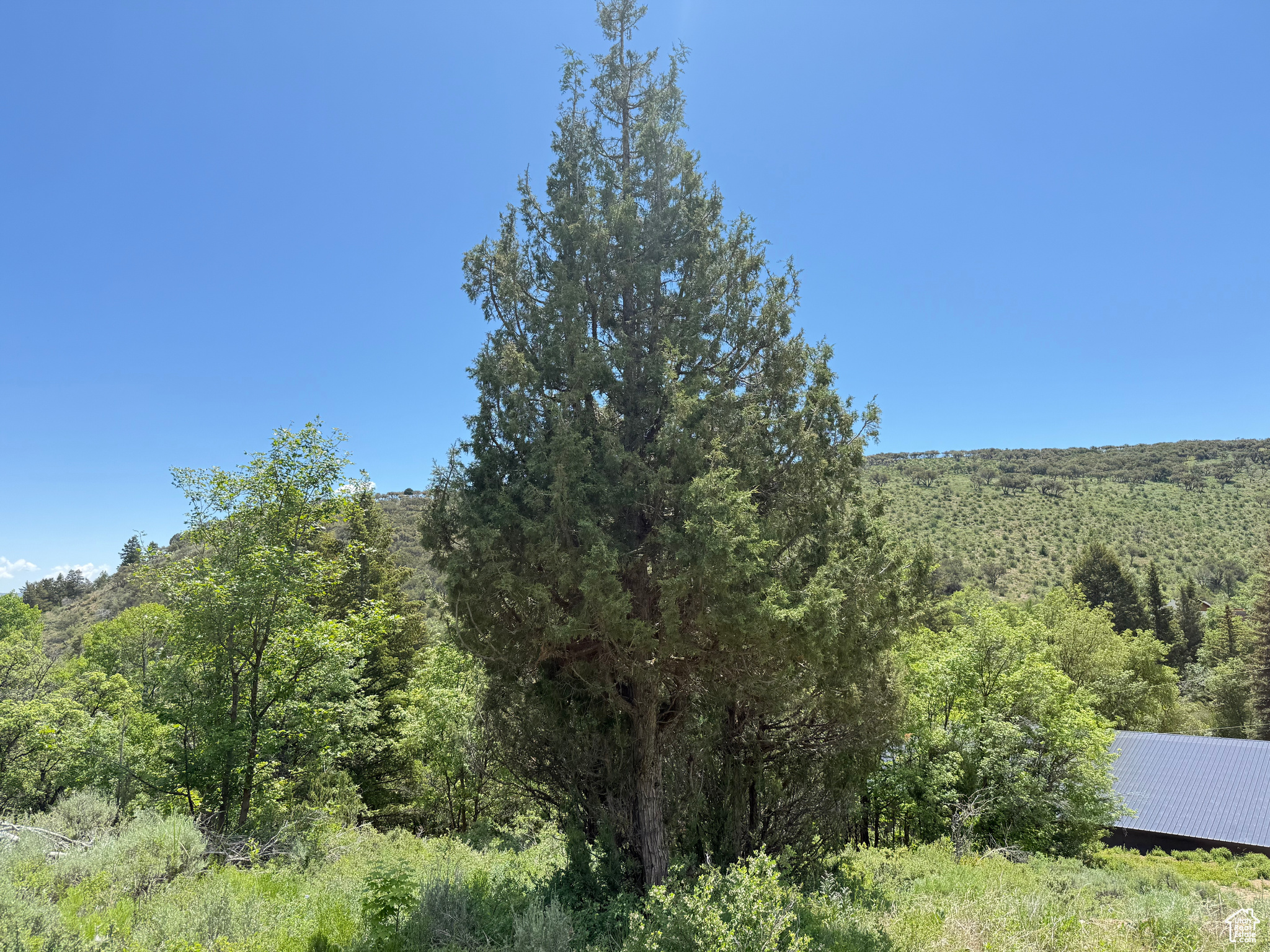 1361 Swan Creek Rd #5, Garden City, Utah image 5