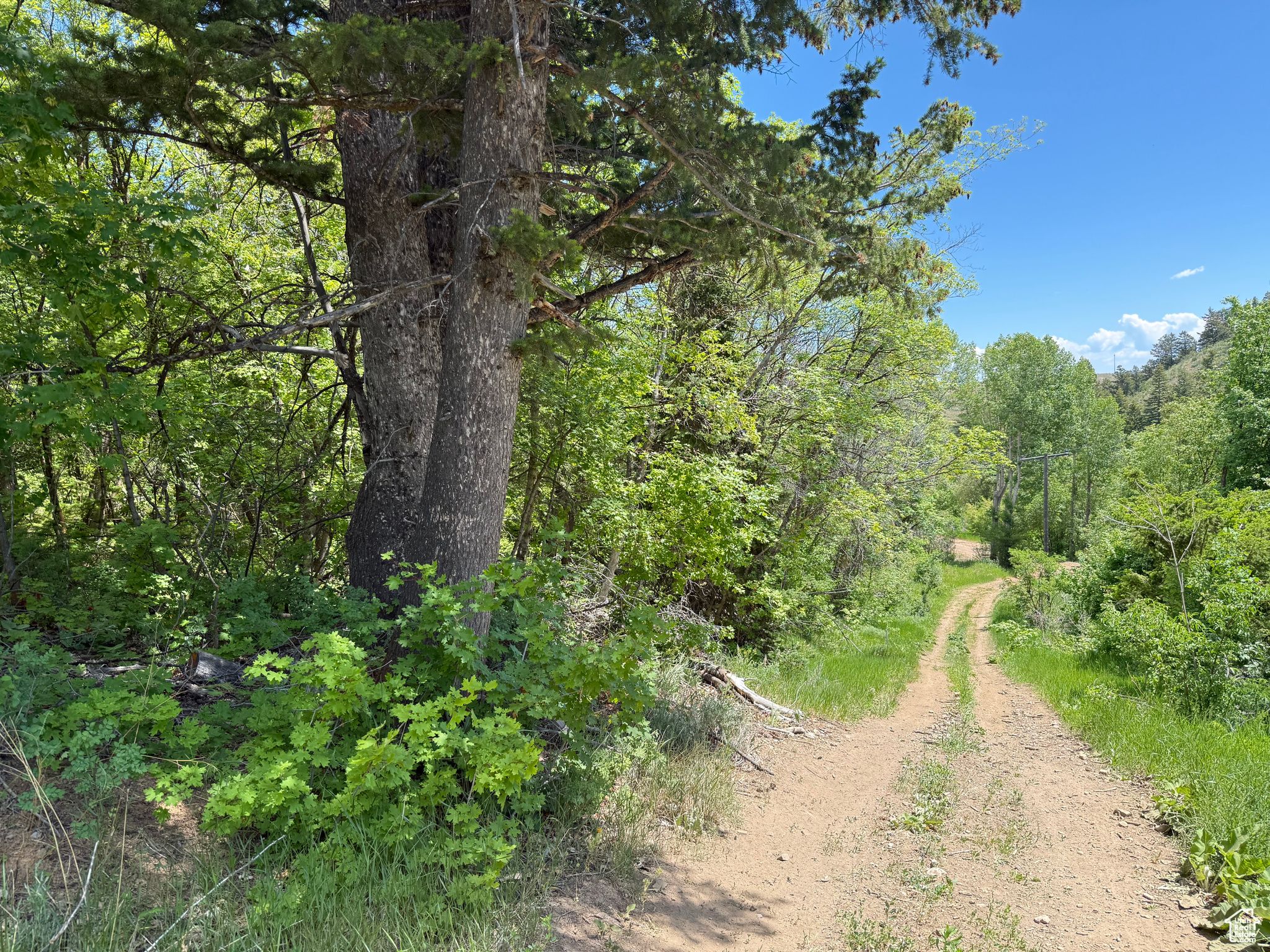 1361 Swan Creek Rd #5, Garden City, Utah image 2