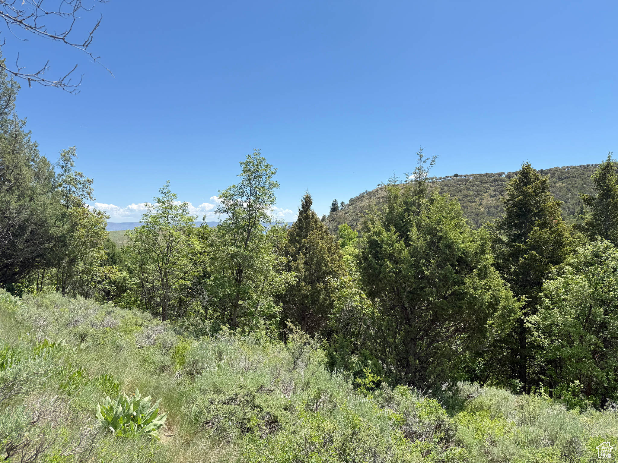 1361 Swan Creek Rd #5, Garden City, Utah image 7