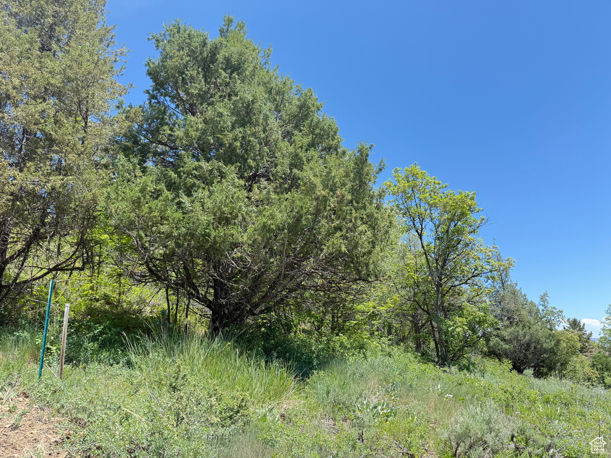1361 Swan Creek Rd #5, Garden City, Utah image 6