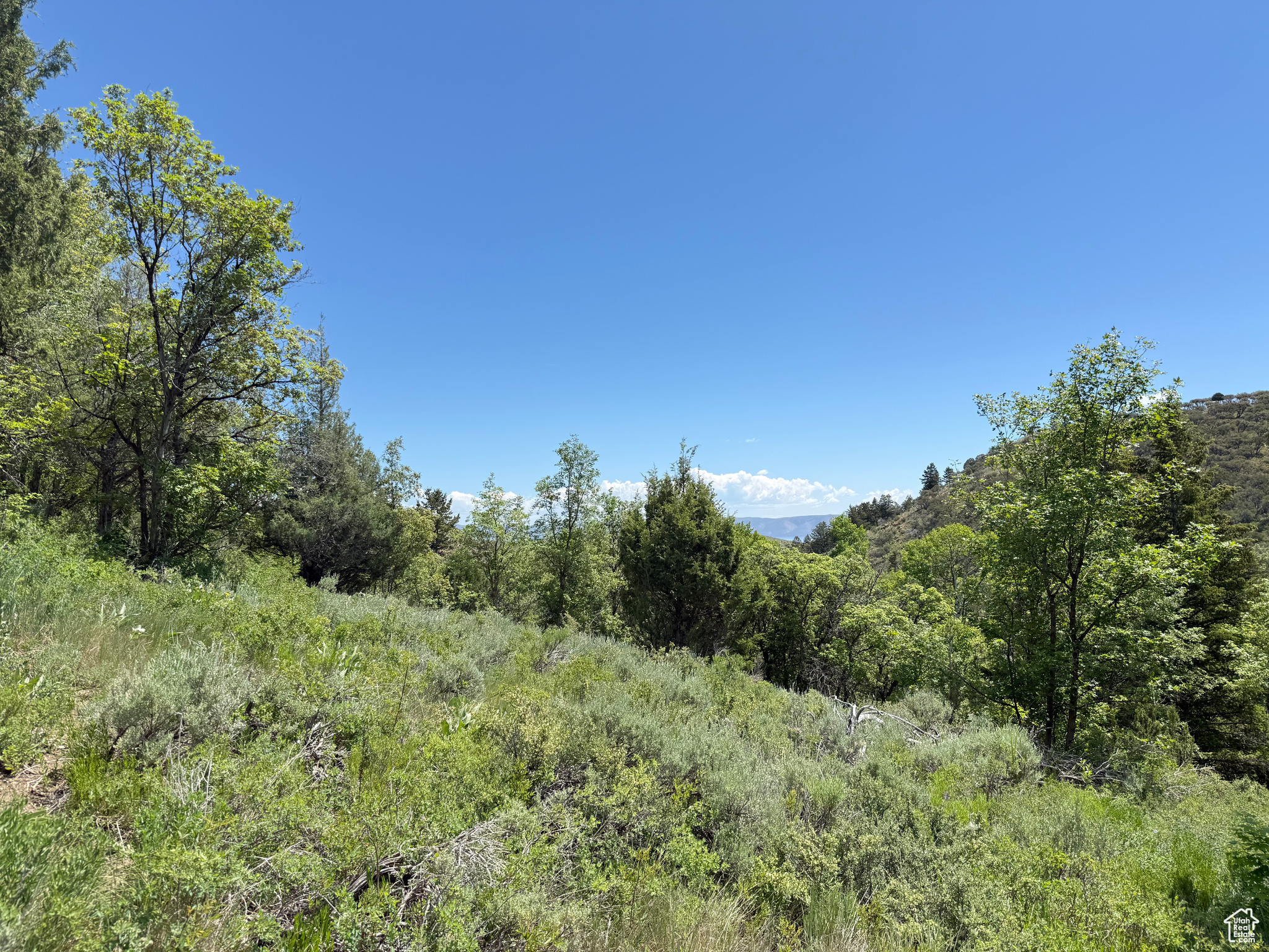 1361 Swan Creek Rd #5, Garden City, Utah image 4