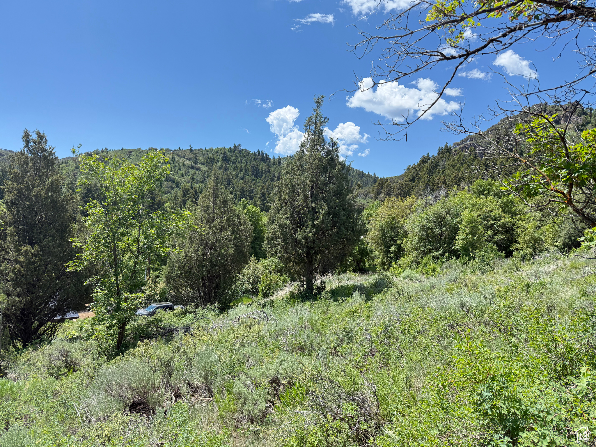 1361 Swan Creek Rd #5, Garden City, Utah image 8