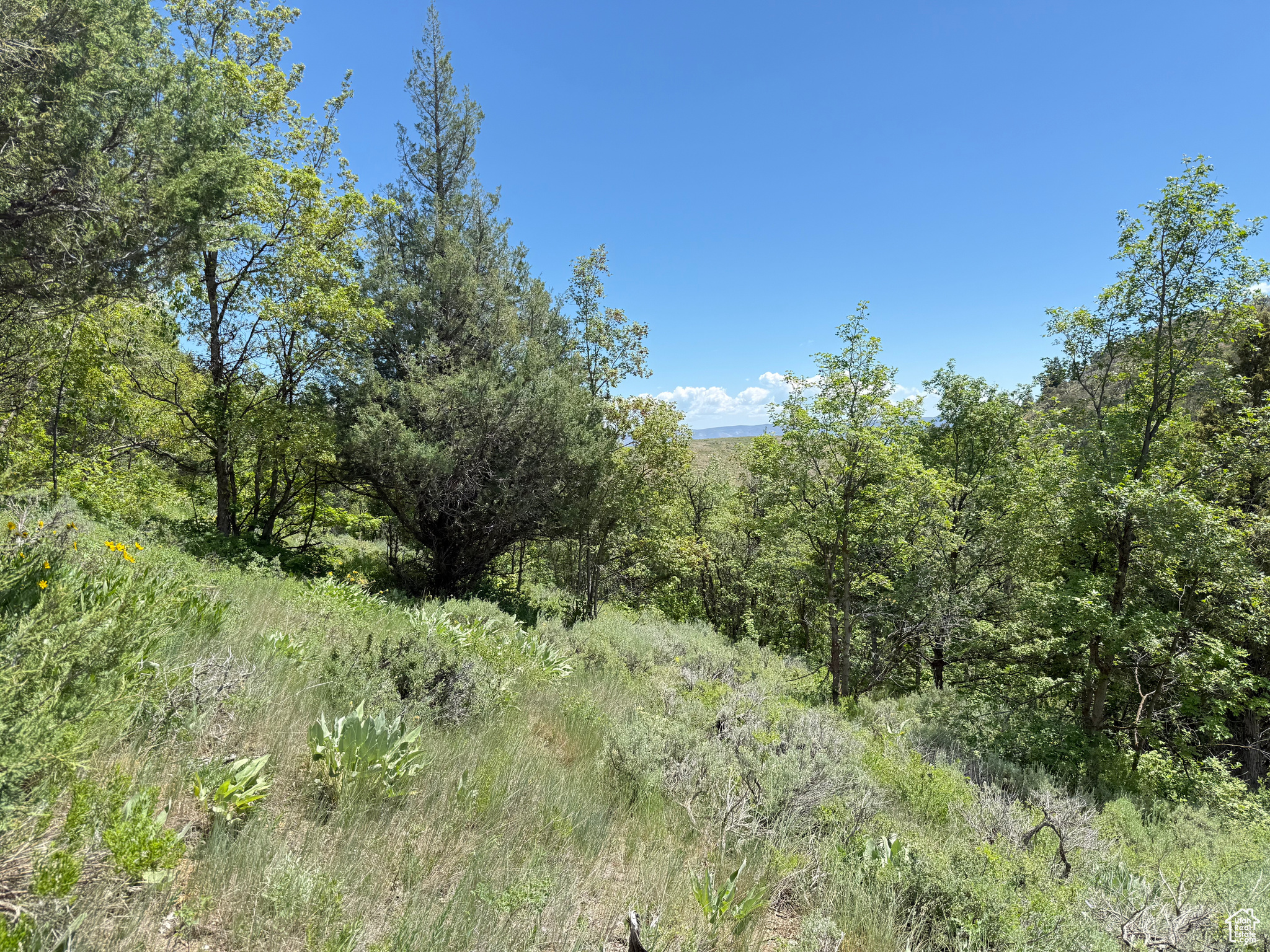 1361 Swan Creek Rd #5, Garden City, Utah image 10