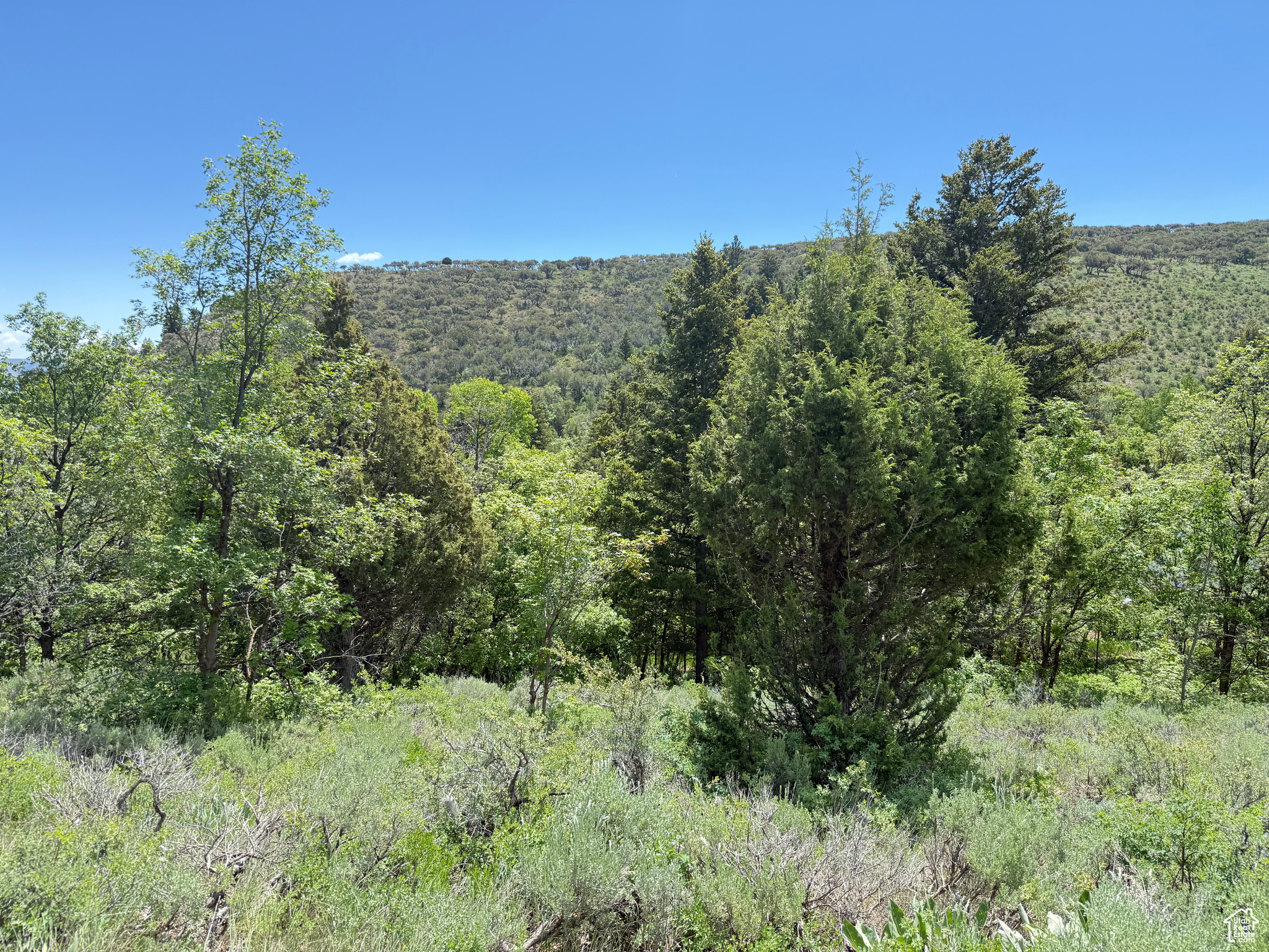 1361 Swan Creek Rd #5, Garden City, Utah image 9