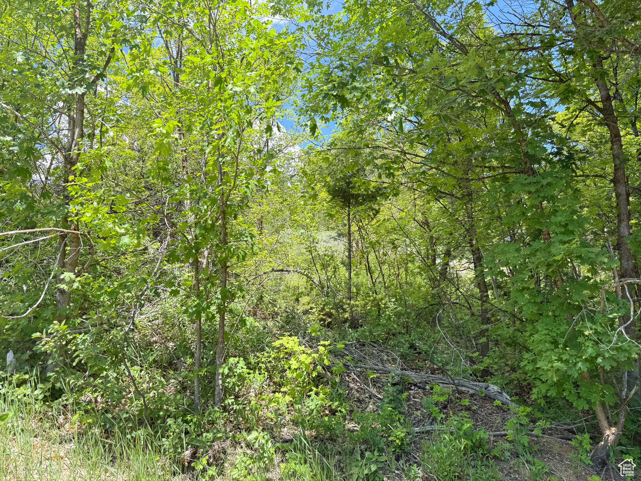1361 Swan Creek Rd #5, Garden City, Utah image 1