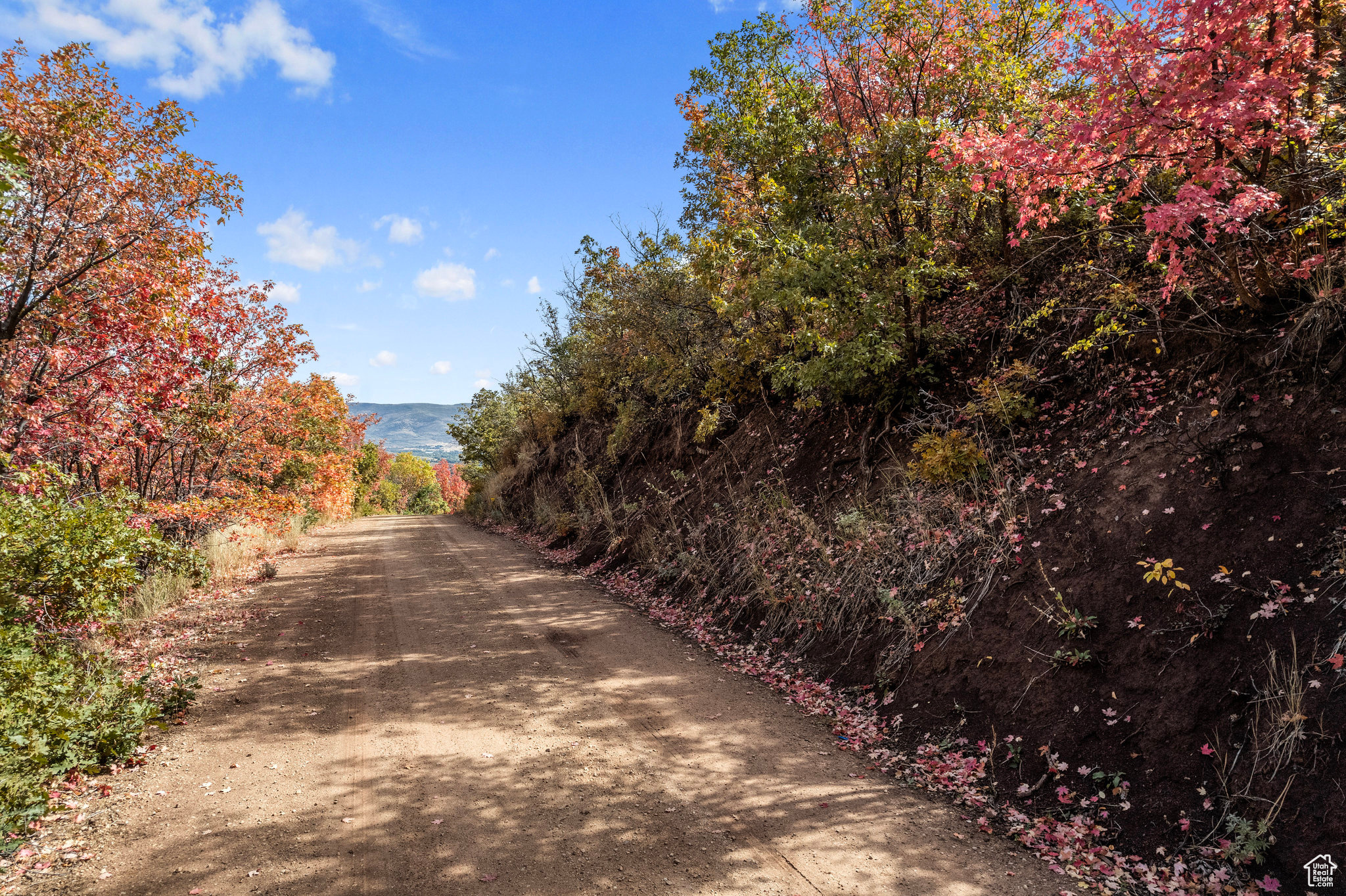 34 Alphorn Way Mtn #34, Midway, Utah image 14