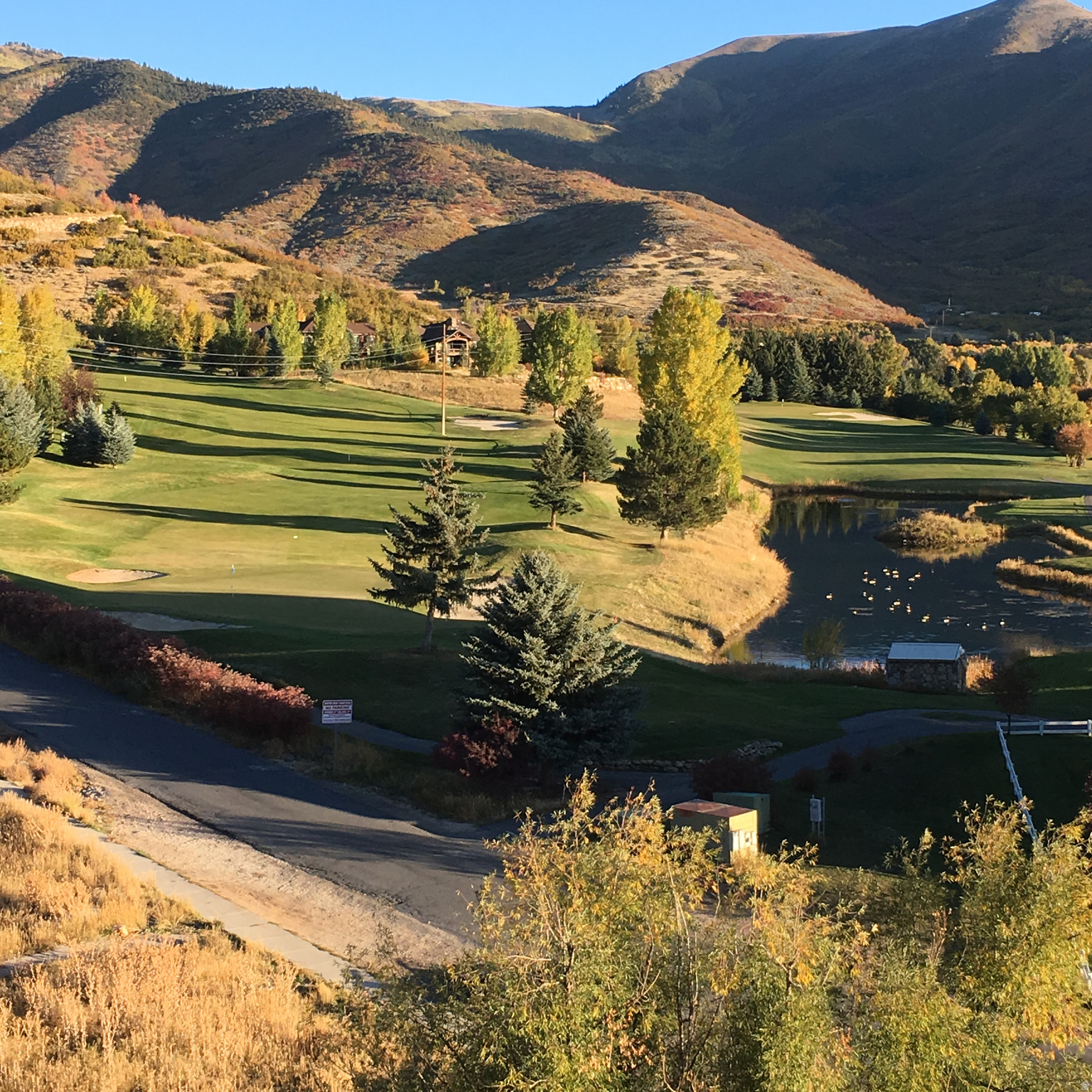 SWISS OAKS - Residential