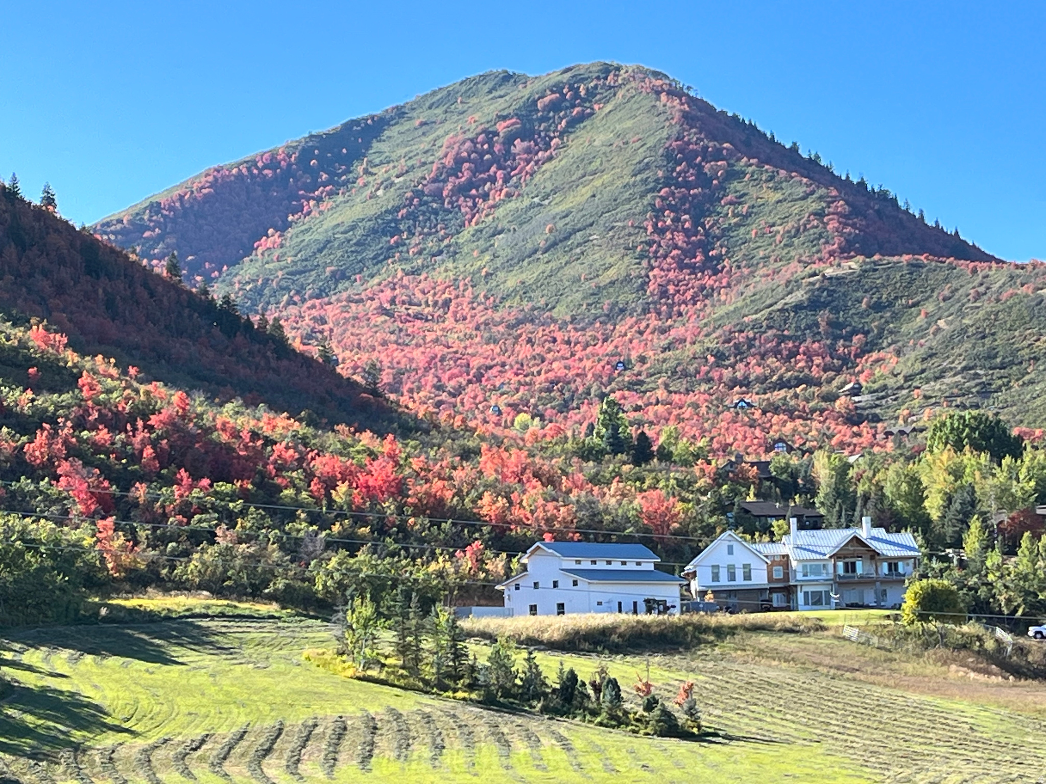 SWISS OAKS - Residential