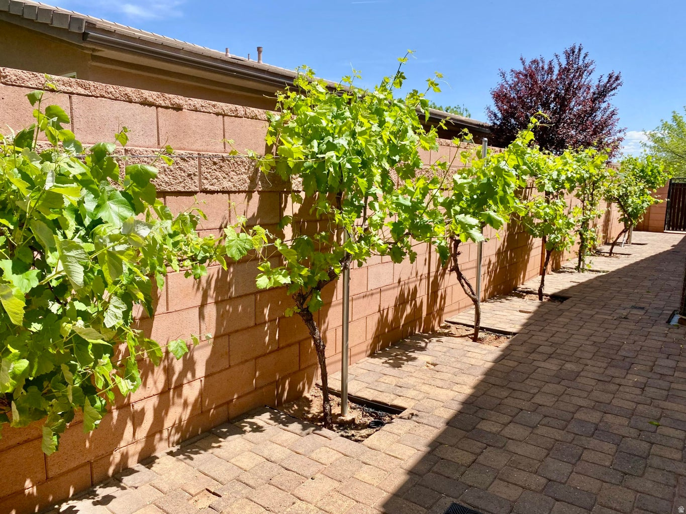 CORAL CANYON 1 - Residential