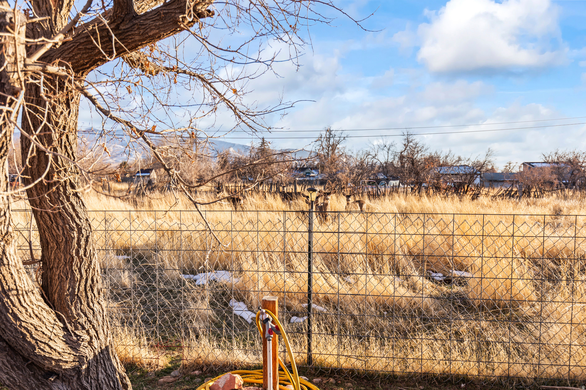 FILLMORE CITY SURVEY - Residential