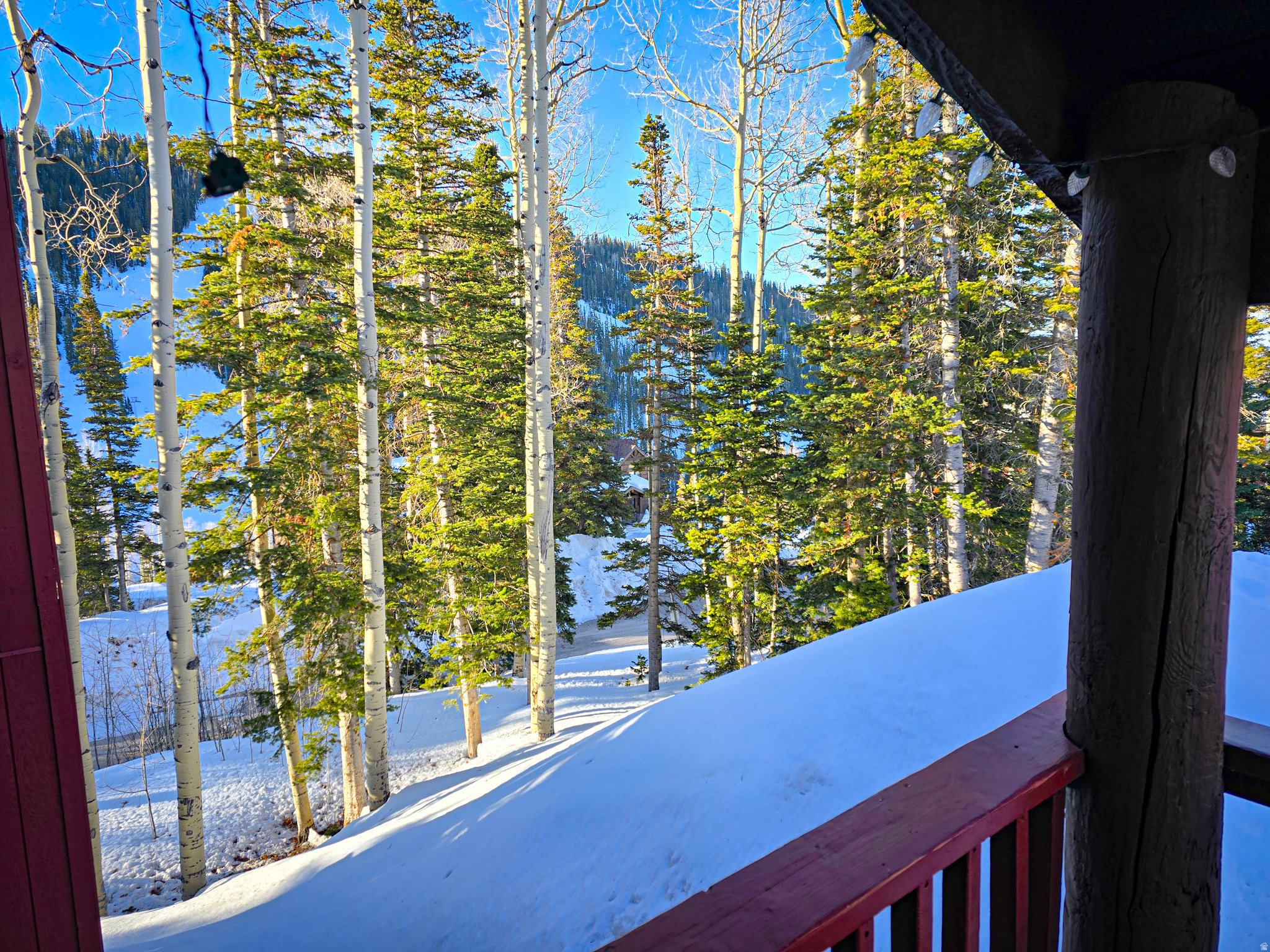 SNOWFLAKE CONDOMINIUMS - Residential